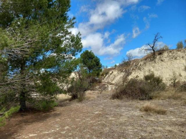 Terreno en venta en la Vall d'Albaida, Valencia