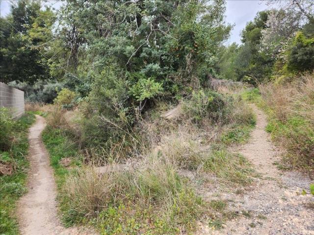 Terreno en venta en Castelló de la Plana / Castellón de la Plana, Castelló / Castellón