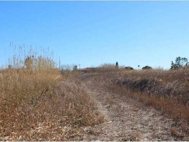 Terreno en venta en Castellón De La Plana, Valencia