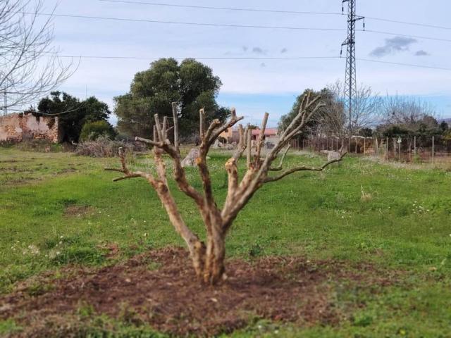 Terreno en venta en la Plana Alta, Valencia