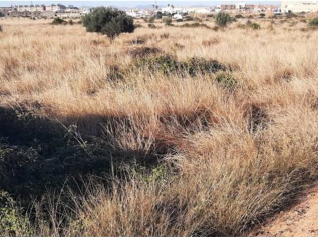 Terreno en venta en la Plana Alta, Valencia