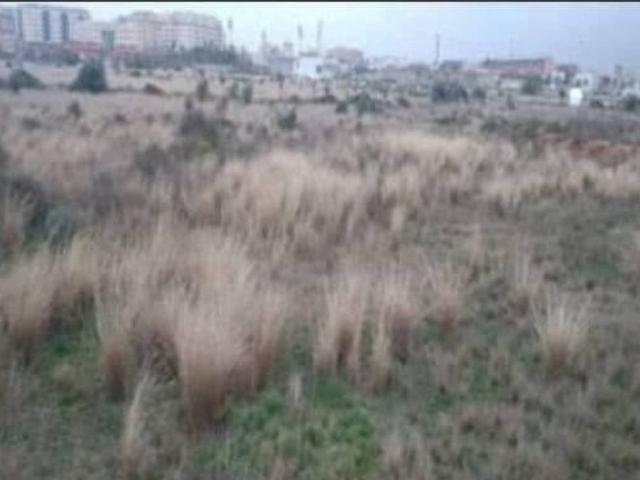 Terreno en venta en Castellón De La Plana, Valencia