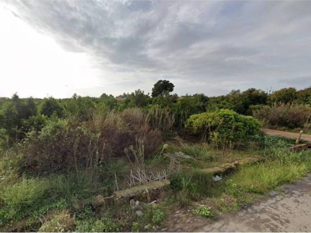 Terreno en venta en la Plana Alta, Valencia