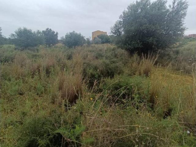 Terreno en venta en Castelló de la Plana / Castellón de la Plana, Castelló / Castellón