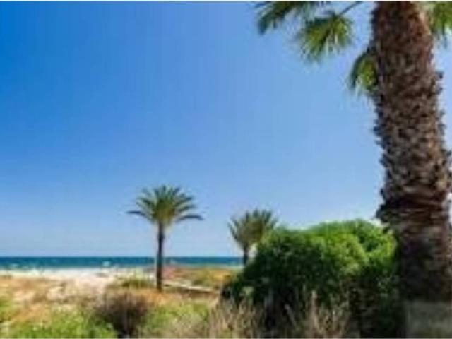 Terreno en venta en la Plana Alta, Valencia