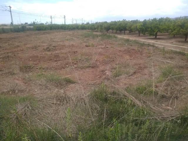 Terreno en venta en la Plana Alta, Valencia