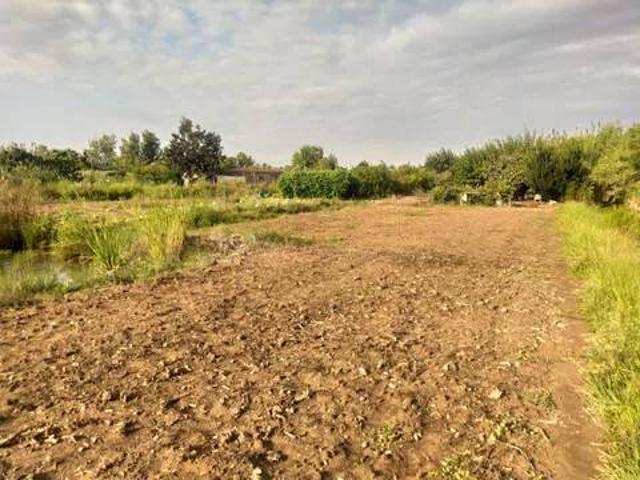 Terreno en venta en la Plana Alta, Valencia