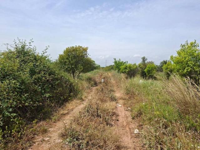 Terreno en venta en la Plana Alta, Valencia