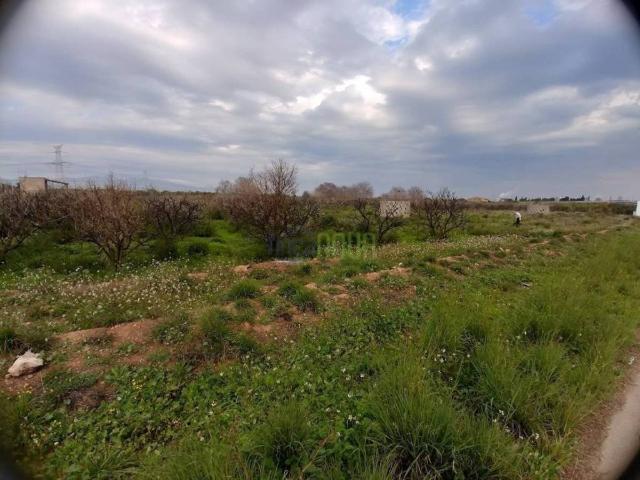 Terreno en venta en Castelló de la Plana / Castellón de la Plana, Castelló / Castellón