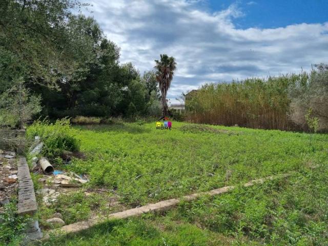 Terreno en venta en la Plana Alta, Valencia