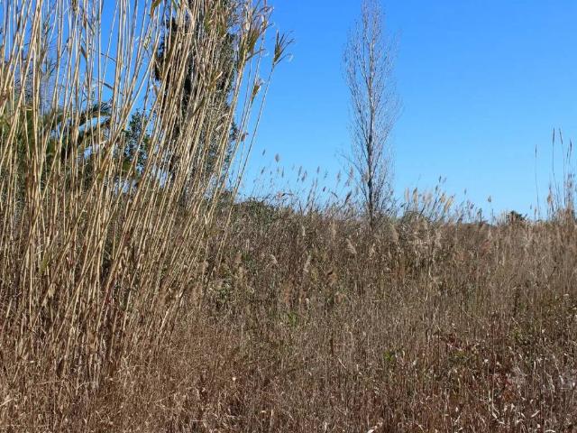 Terreno en venta en la Plana Alta, Valencia