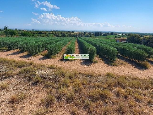 Terreno en venta en Castellserà, Lleida