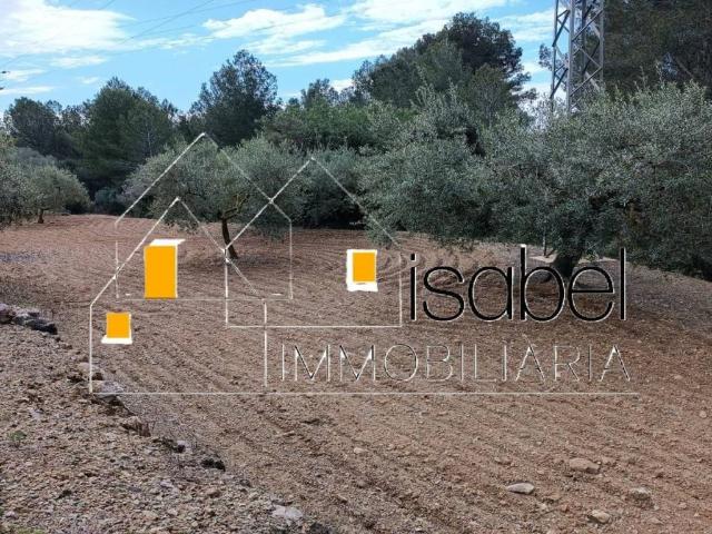 Terreno en venta en Castellvell Del Camp