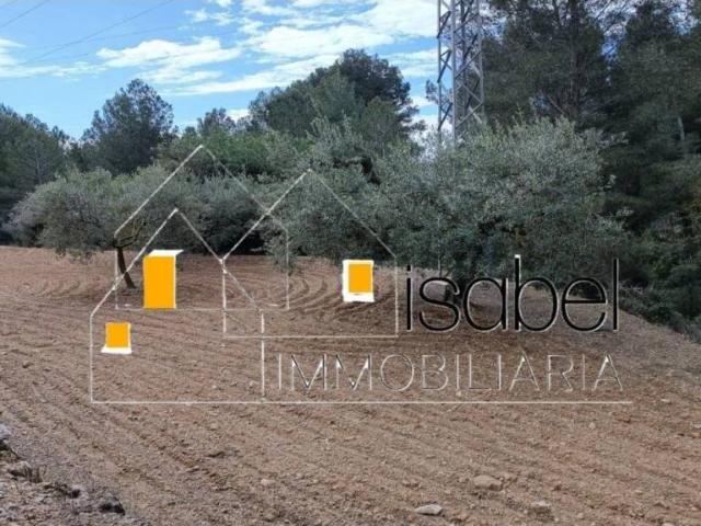 Terreno en venta en Baix Camp, Catalunya
