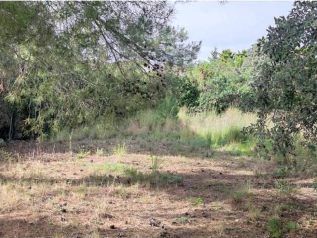 Terreno en venta en Castellvell Del Camp