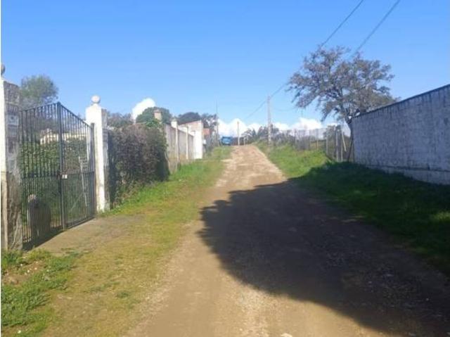 Terreno en venta en Castilblanco De Los Arroyos, Andalucía