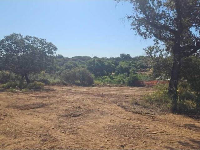 Terreno en venta en Castilblanco De Los Arroyos, Andalucía