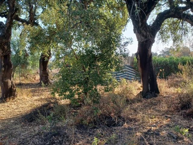 Terreno en venta en Castilblanco De Los Arroyos, Andalucía