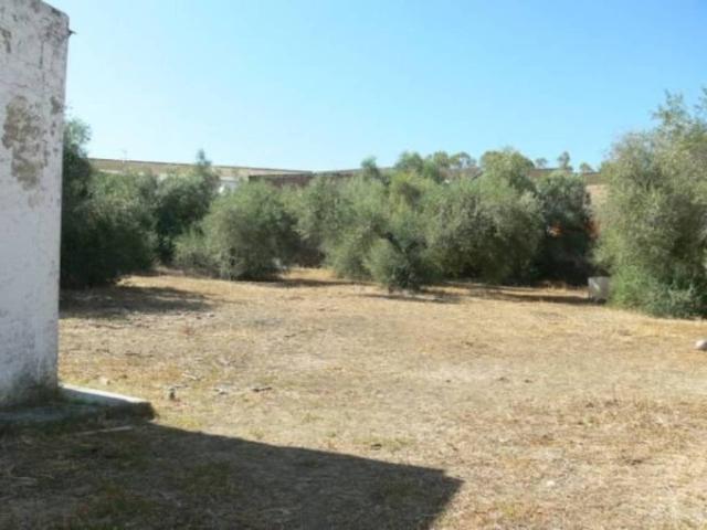 Terreno en venta en Castilblanco De Los Arroyos, Andalucía