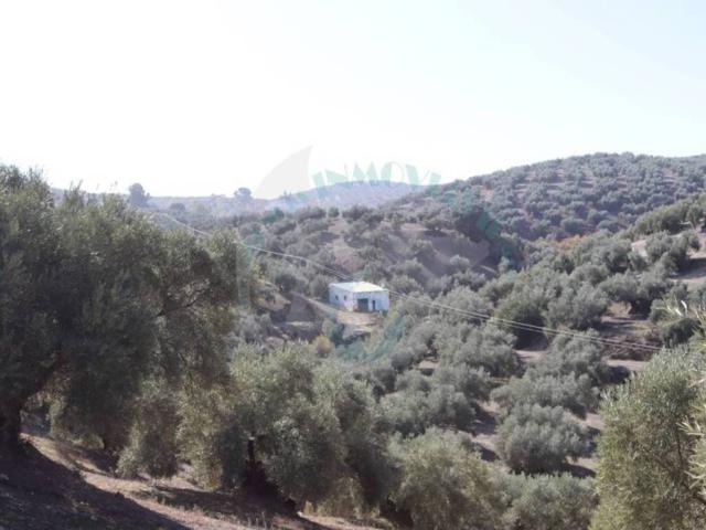 Terreno en venta en Lucena, Andalucía