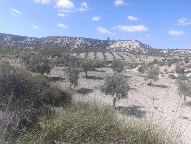 Terreno en venta en Comarca de Huéscar, Andalucía