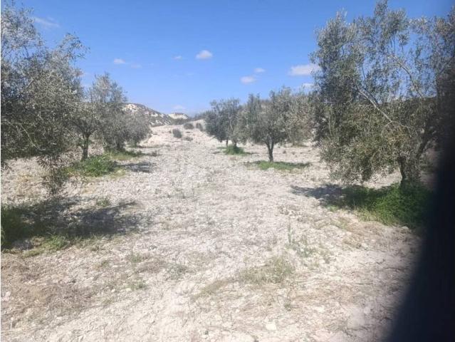 Terreno en venta en Comarca de Huéscar, Andalucía