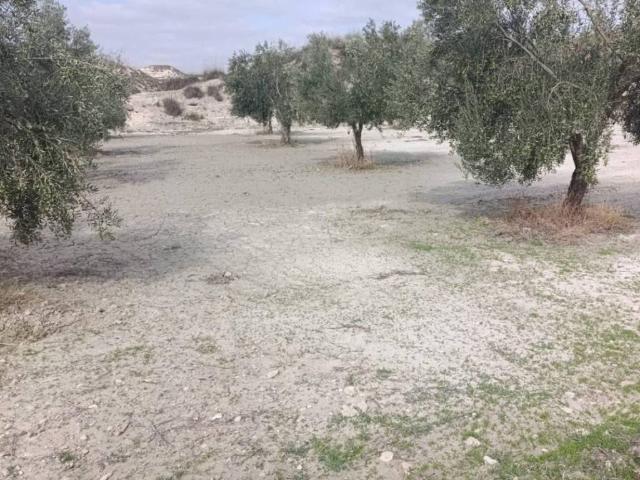 Terreno en venta en Comarca de Huéscar, Andalucía