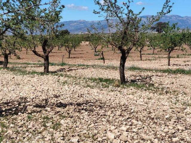 Terreno en venta en Comarca de Huéscar, Andalucía