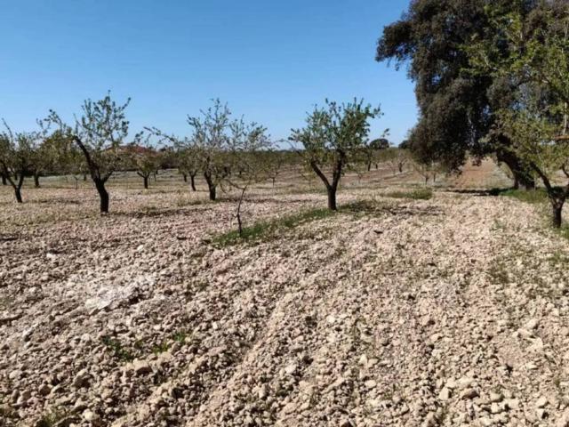 Terreno en venta en Comarca de Huéscar, Andalucía