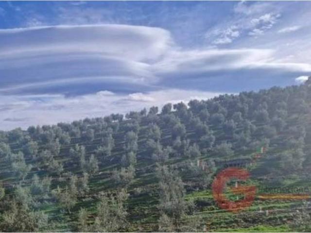 Terreno en venta en Comarca de Huéscar, Andalucía