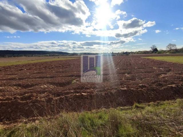 Terreno en venta en Castrillo Del Val, Castilla y León