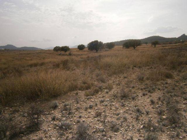 Terreno en venta en Castrillón