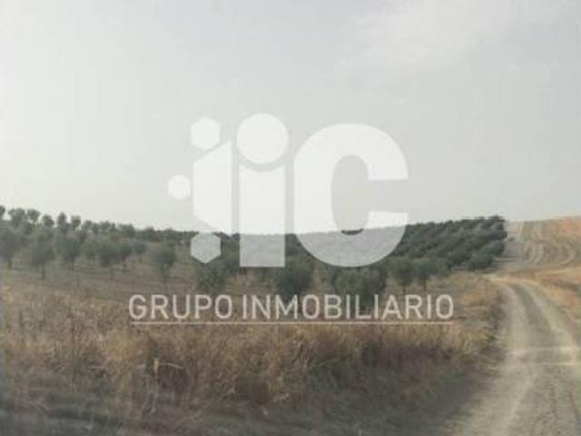 Terreno en venta en Castro Del Río, Andalucía
