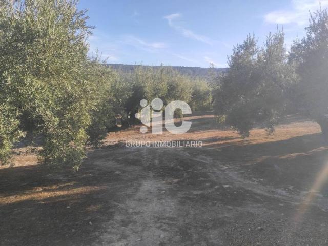 Terreno en venta en Castro Del Río, Andalucía