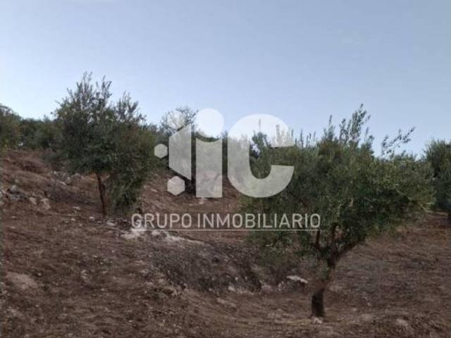 Terreno en venta en Castro del Río, Córdoba