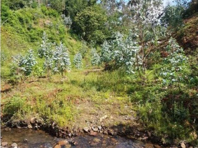 Terreno en venta en Castro-urdiales, Cantabria