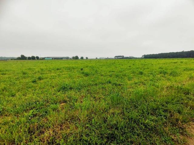 Terreno en venta en Castropol, Asturias