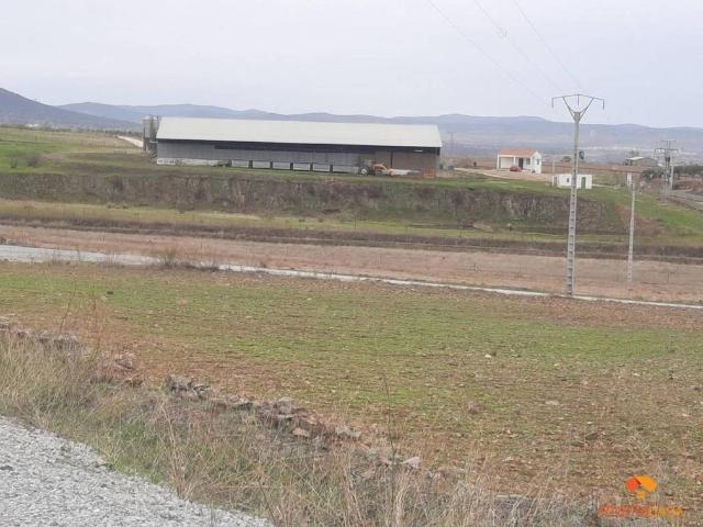 Terreno en venta en Castuera, Extremadura