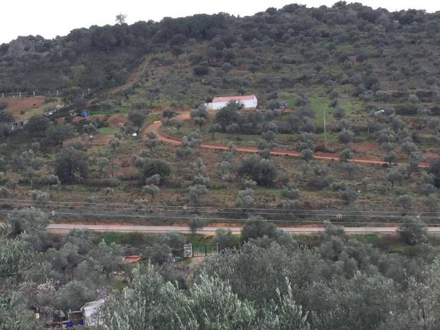 Terreno en venta en Castuera, Extremadura