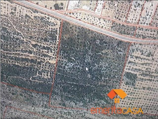 Terreno en venta en Castuera, Extremadura