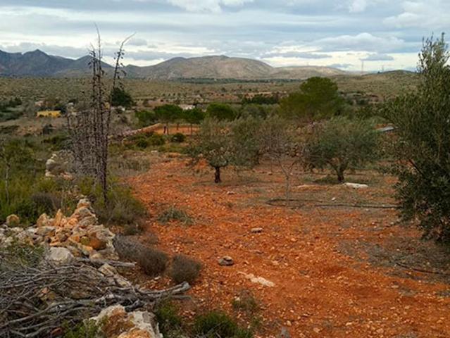 Terreno en venta en la Ribera Alta, Valencia