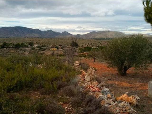 Terreno en venta en la Ribera Alta, Valencia