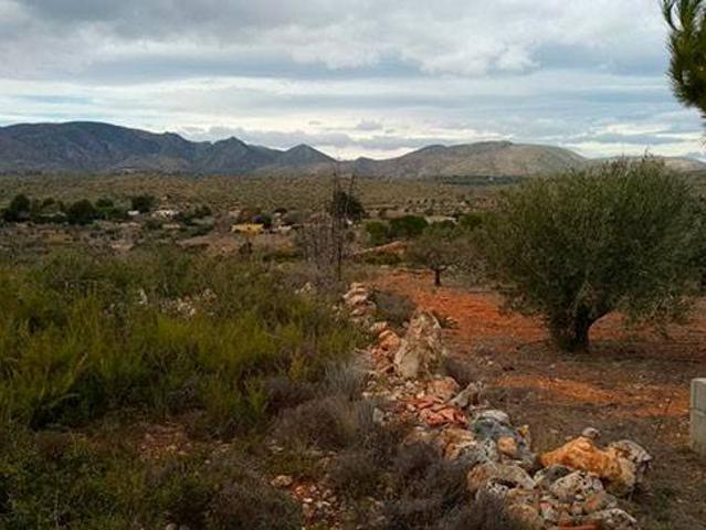 Terreno en venta en la Ribera Alta, Valencia