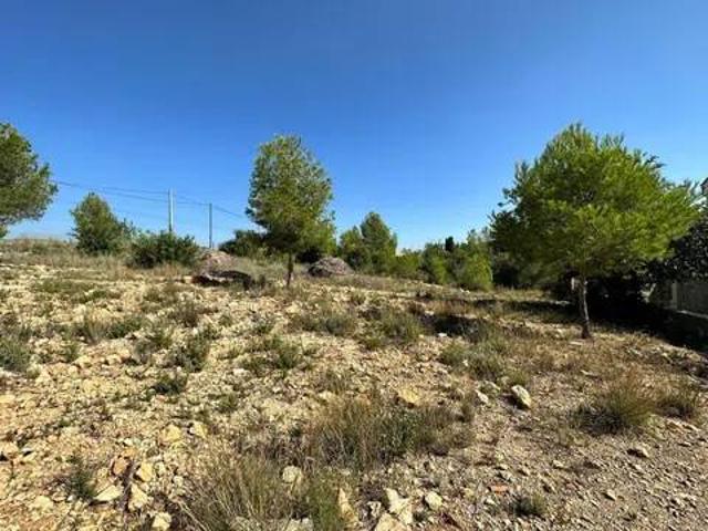 Terreno en venta en la Ribera Alta, Valencia