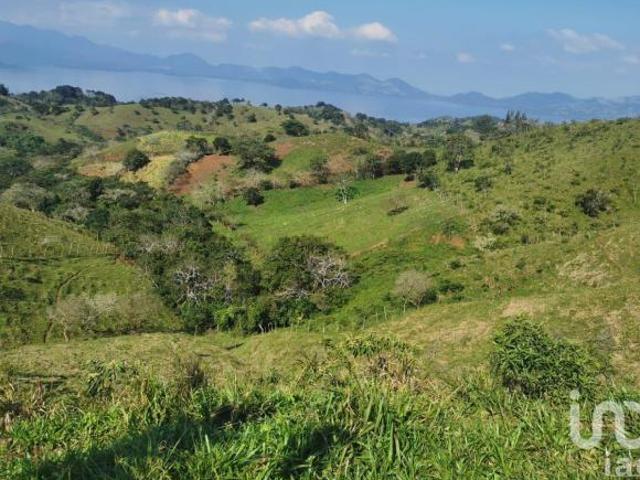 Terreno en venta en Colonia el Águila, Catemaco