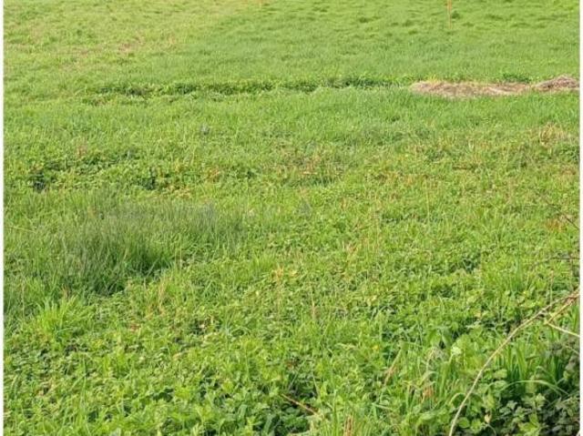 Terreno en venta en Caldas, Galicia