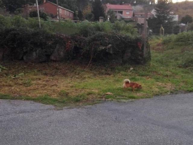 Terreno en venta en Caldas, Galicia