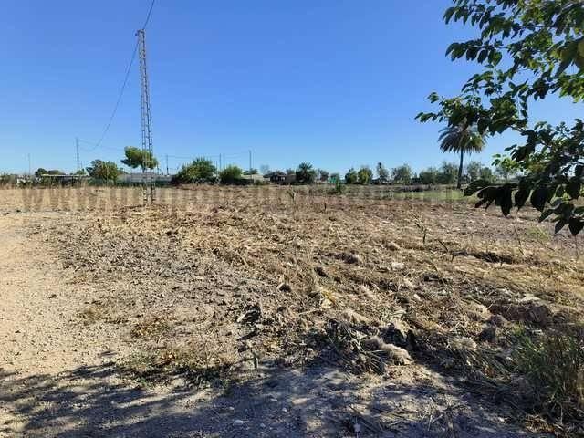 Terreno en venta en el Baix Segura / La Vega Baja, Valencia