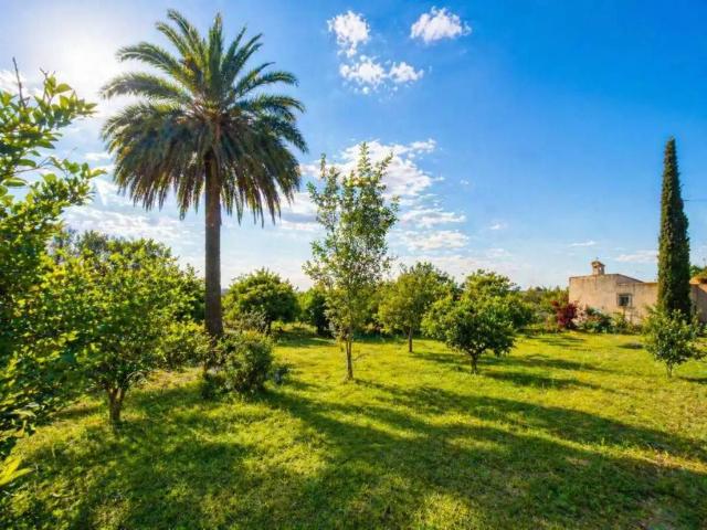 Terreno en venta en el Baix Segura / La Vega Baja, Valencia