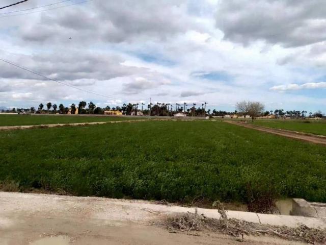 Terreno en venta en el Baix Segura / La Vega Baja, Valencia
